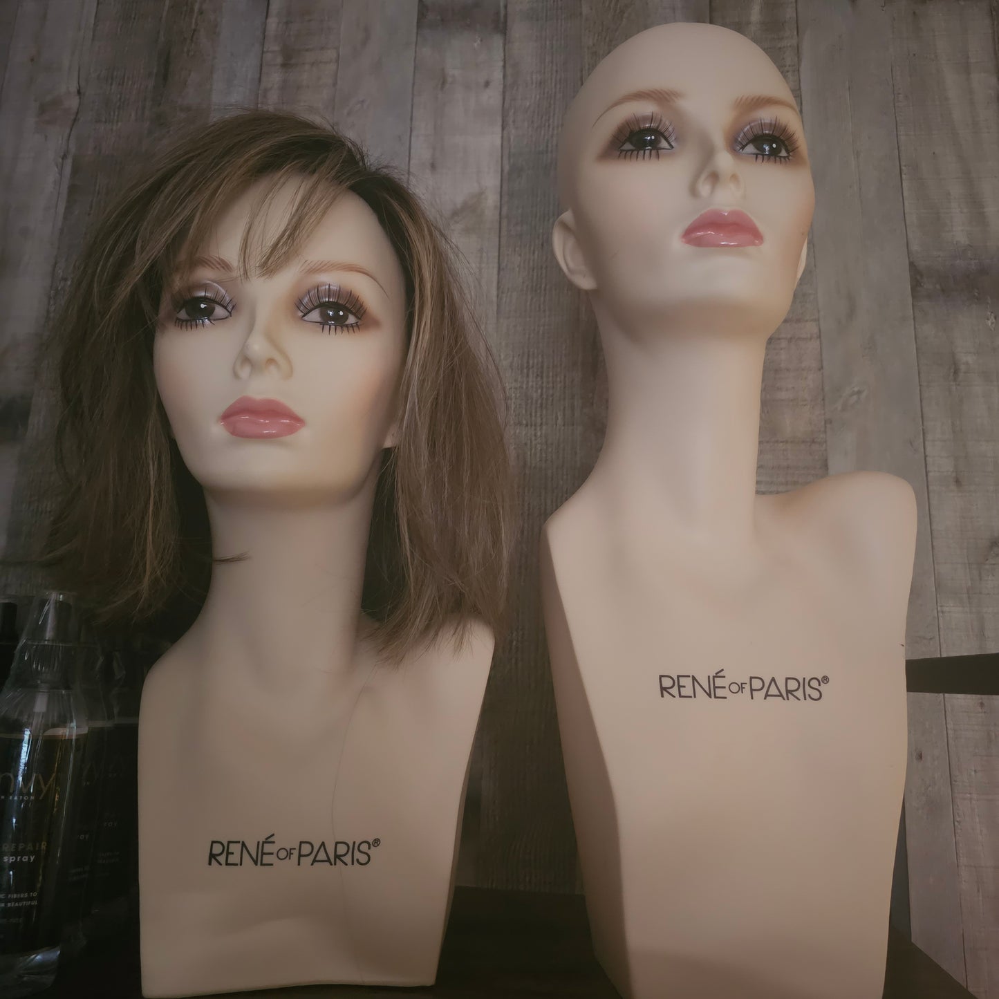 Mannequin Head
