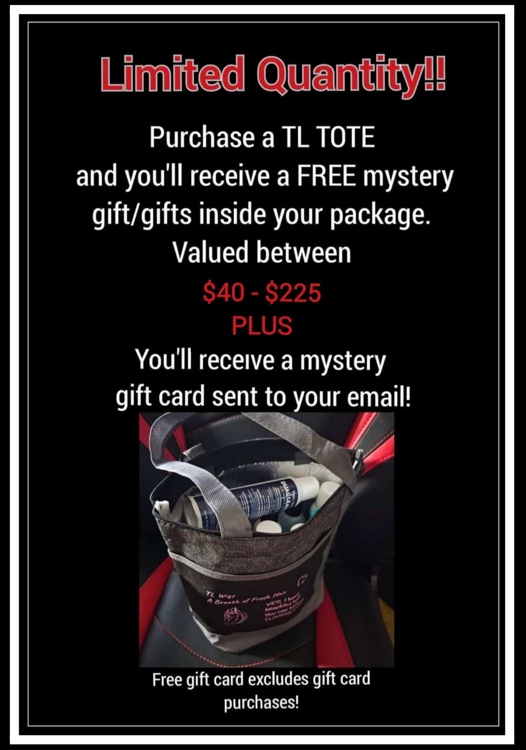 TL Wigs Tote/Cooler TL Wigs Wigs and Toppers