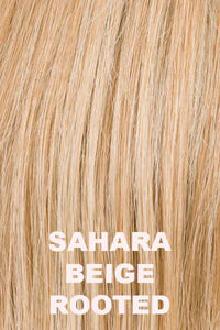 Voice Wig by Ellen Wille | Heat Friendly Synthetic Hair | Petite/Average Cap | NEW RELEASE