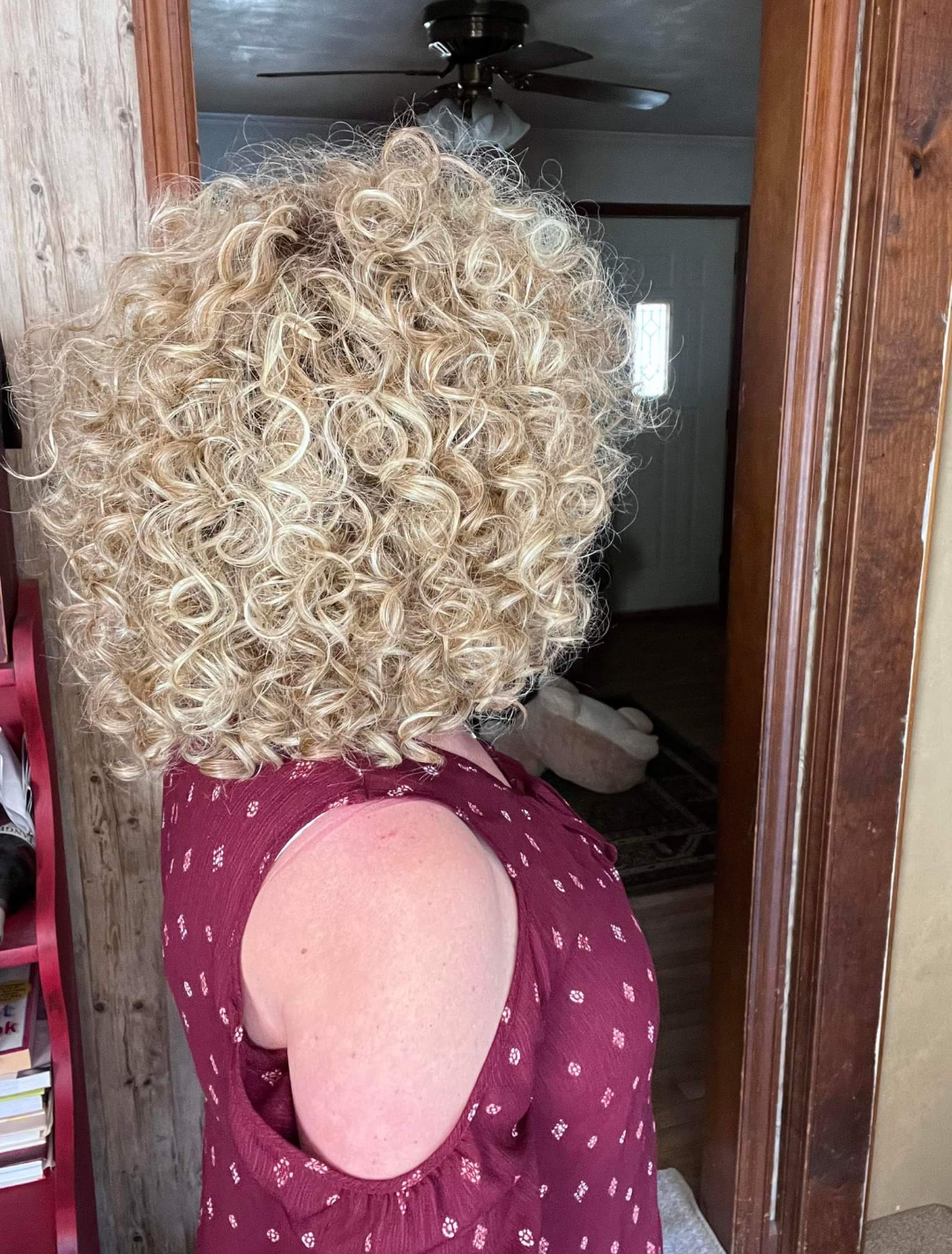 Click Click Flash Wig by Raquel Welch | Heat Friendly Synthetic Hair | Average Cap