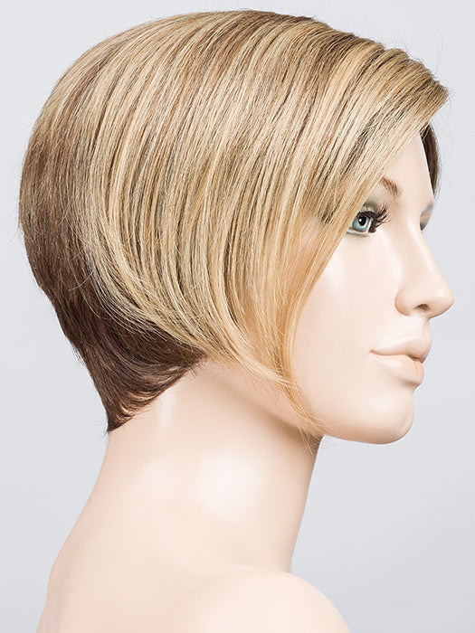 Amaze Wig by Ellen Wille | Human Hair/Heat Friendly Synthetic Blend Hair | Petite/Average Cap