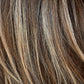 Picture Perfect Wig by TressAllure | Heat Friendly Synthetic Hair | Average Cap