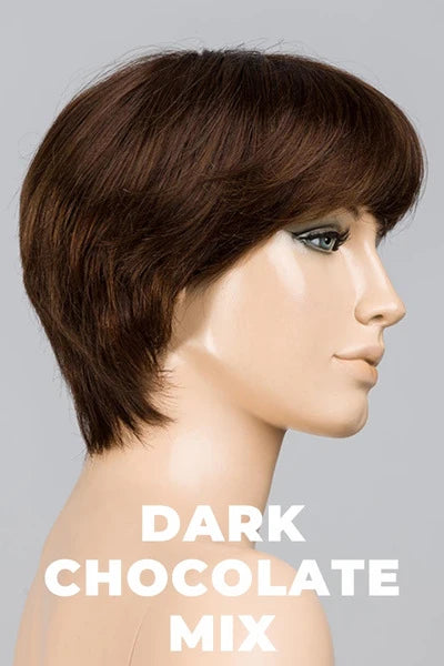 Award Deluxe Wig by Ellen Wille | Remy Human Hair