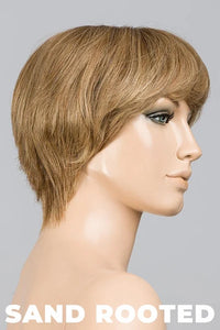 Award Deluxe Wig by Ellen Wille | Remy Human Hair