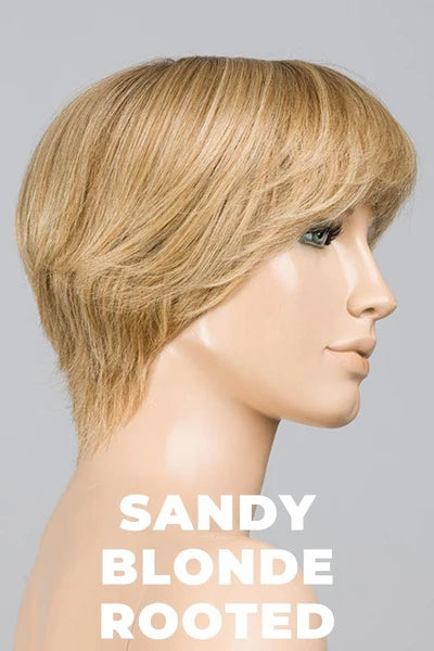 Award Deluxe Wig by Ellen Wille | Remy Human Hair