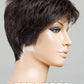 Chat Wig by Ellen Wille | Heat Friendly Synthetic