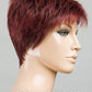 Chat Wig by Ellen Wille | Heat Friendly Synthetic