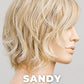 Cookie Wig by Ellen Wille | Heat Friendly Synthetic Hair | Petite/Average Cap