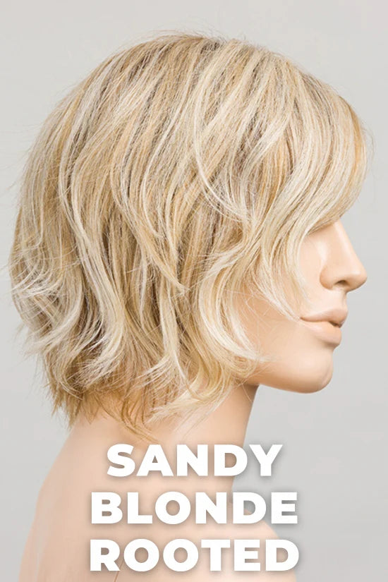 Cookie Wig by Ellen Wille | Heat Friendly Synthetic Hair | Petite/Average Cap