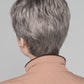 Ginger Small Wig by Ellen Wille | Synthetic Hair | Petite Cap
