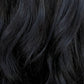 Motion by Mane Attraction