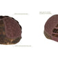 Mellow Wig by Estetica | Synthetic Hair | Average Cap