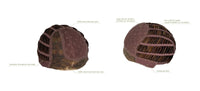 Orchid Wig by Estetica | Synthetic Hair | Average Cap