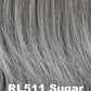 Posh Premiere HT Wig by Raquel Welch | Heat Friendly Synthetic Hair | Average Cap