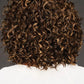 Click Click Flash Wig by Raquel Welch | Heat Friendly Synthetic Hair | Average Cap