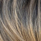 Motion by Mane Attraction
