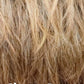 Pixie Bounce Wig by TressAllure | Heat Friendly Synthetic Hair | Average Cap | Last Look Collection