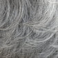 Rosanna by Rene of Paris | Synthetic Lace Front Wig (Lace Part)