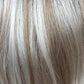 Motion by Mane Attraction