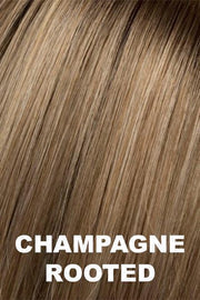 Sound Wig by Ellen Wille | Heat Friendly Synthetic Hair | Petite/Average Cap