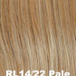 Feature Length HT Wig by Raquel Welch | Heat Friendly Synthetic Hair | Average Cap