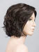 Sound by Ellen Wille | Synthetic Lace Front Wig (Mono Part)