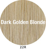 Picture Perfect Wig by TressAllure | Heat Friendly Synthetic Hair | Average Cap