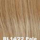 Wavy Day Wig by Raquel Welch | Heat Friendly Synthetic Hair | Average Cap