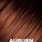 Melody Wig by Ellen Wille | Heat Friendly Synthetic Hair | Petite/Average Cap