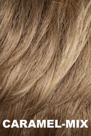 Adore Wig by Ellen Wille | Human Hair/Heat Friendly Synthetic Blend Hair | Petite/Average Cap