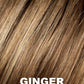 Risk Wig by Ellen Wille | Synthetic Hair | Petite/Average Cap