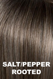 Stay Wig by Ellen Wille | Synthetic Hair | Petite/Average Cap