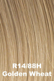 Salsa | Wig | Raquel Welch