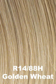 Indulgence Hair Piece by Raquel Welch | Remy Human Hair