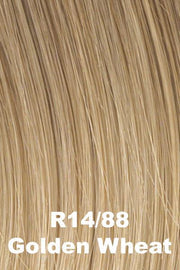 12" Grand Extension by Hairdo