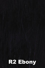 Breeze Wig by Raquel Welch | Signature Collection | Synthetic Fiber