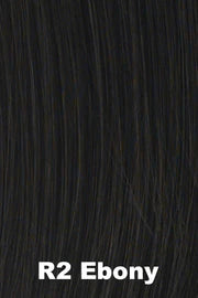 Modern Fringe Clip-In Bangs by Hairdo